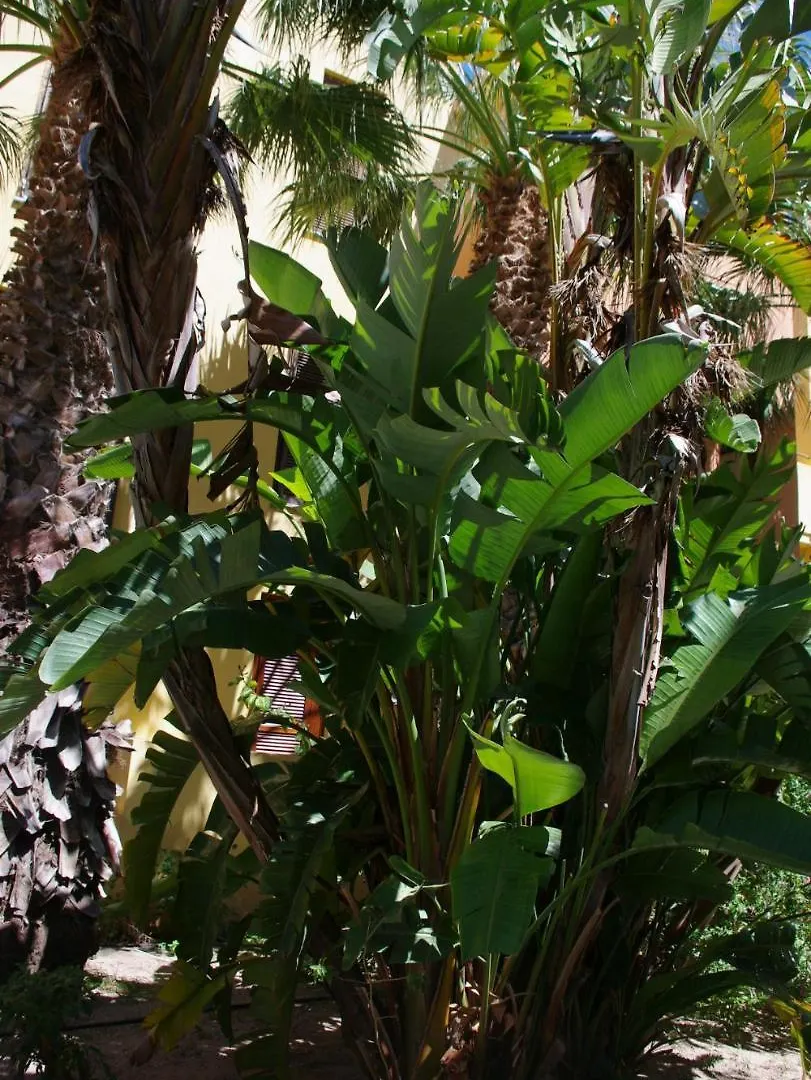 Appartement Nest House - Esclusivo Appartamento Marina Di Olbia- Mater Olbia - Beaches - Close To The Airport - Private Parking- Full Comforts -