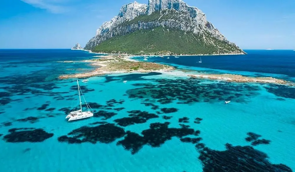 Nest House - Esclusivo Appartamento Marina Di Olbia- Mater Olbia - Beaches - Close To The Airport - Private Parking- Full Comforts - 0*,  Italië